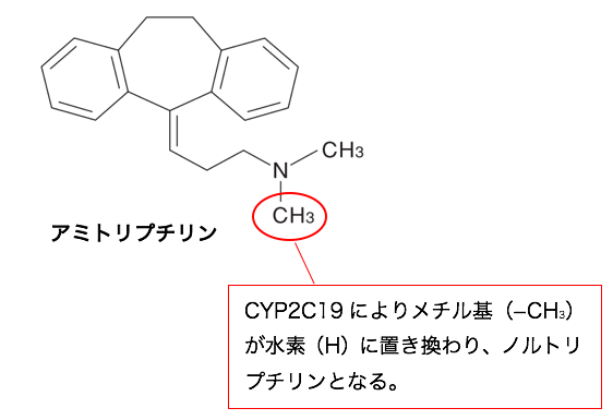 第 相反応 第 相反応 Yakugaku Lab